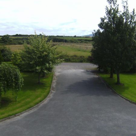 Westfield House Otel Killorglin Dış mekan fotoğraf